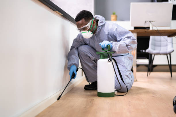 Best Real Estate Pest Inspections  in Resaca, GA